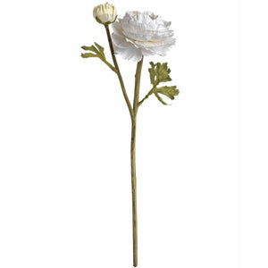 White Ranunculus Spray