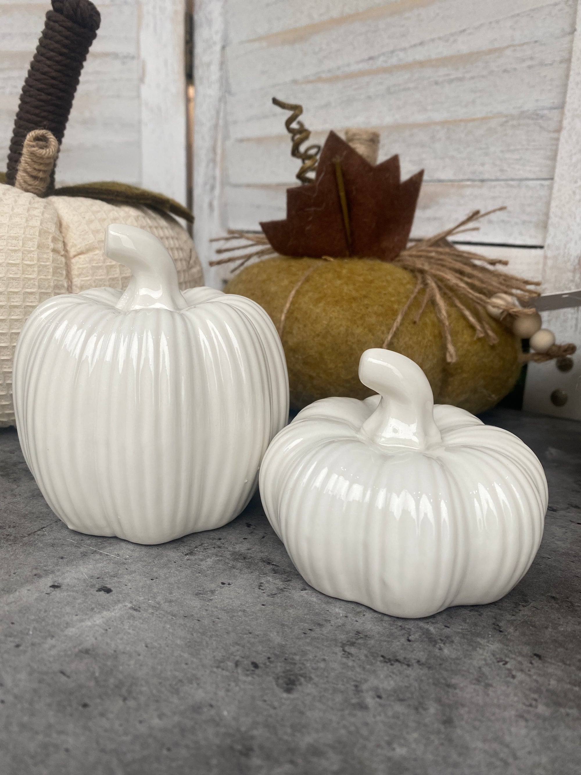 Large White Ribbed Pumpkin