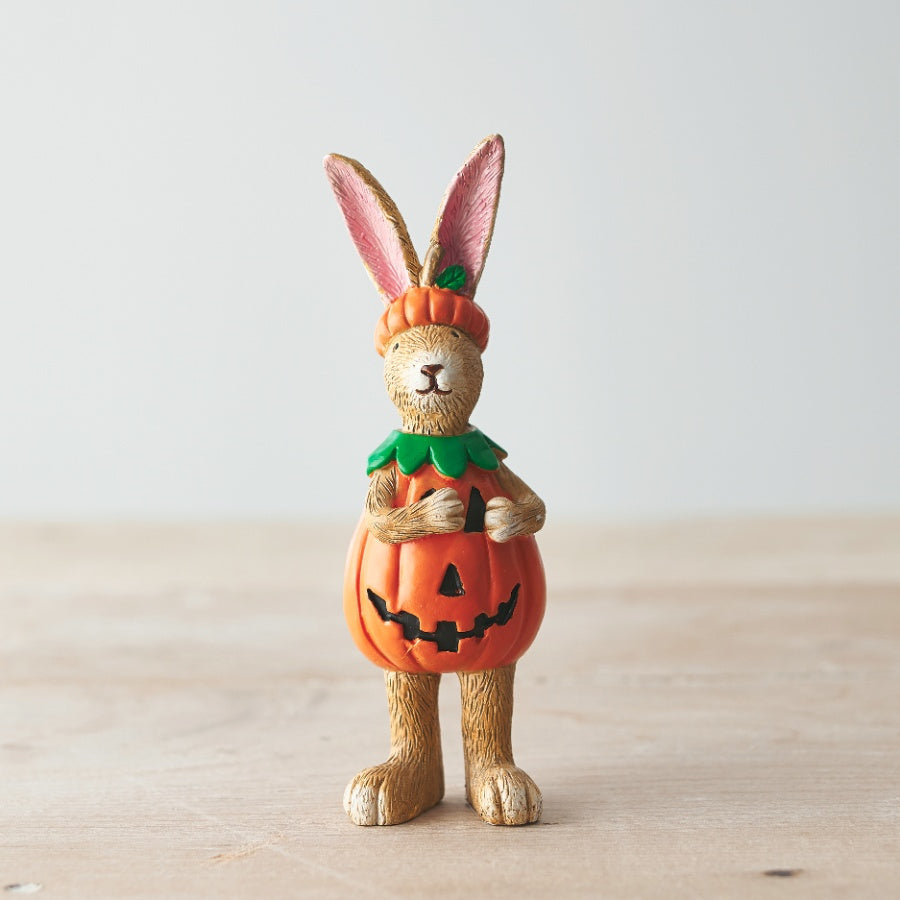 Pumpkin Costume Rabbit