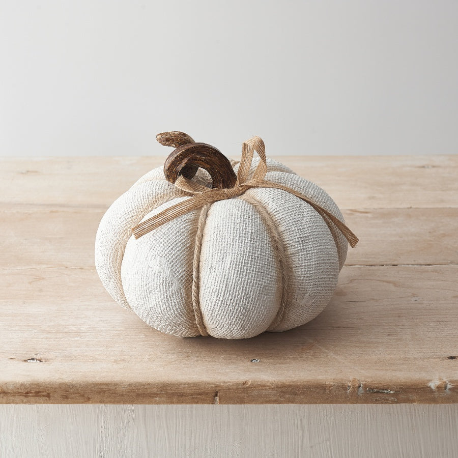 Large White Textured Pumpkin