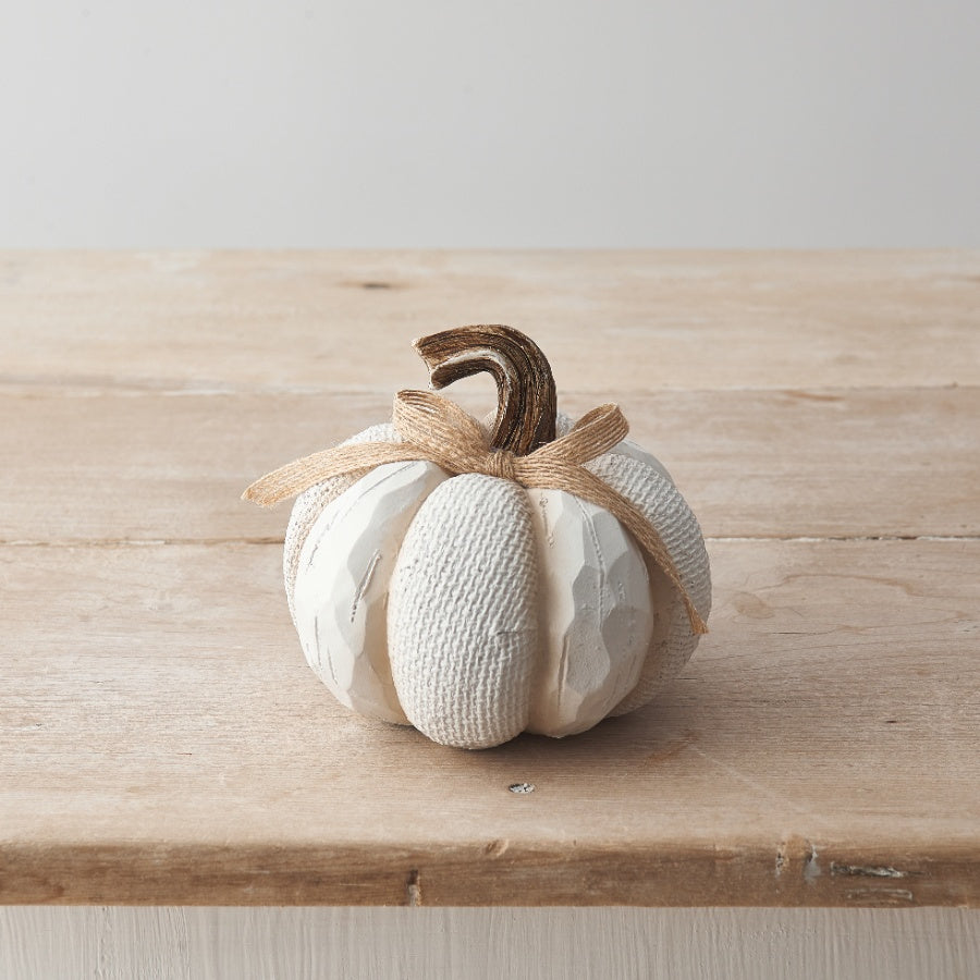 Small White Textured Pumpkin