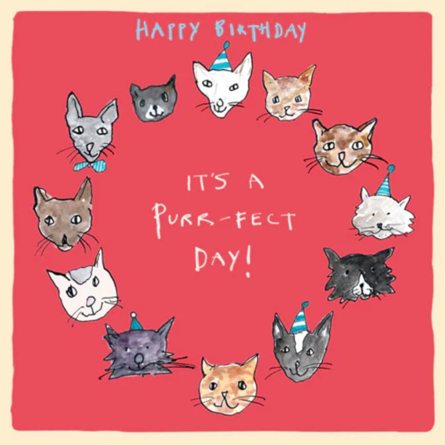 Happy Birthday Cat Card