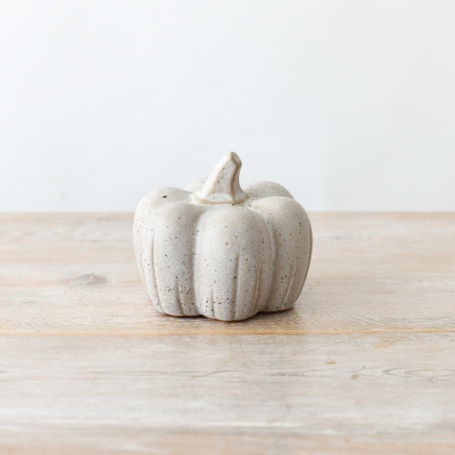 Large Speckled Pumpkin