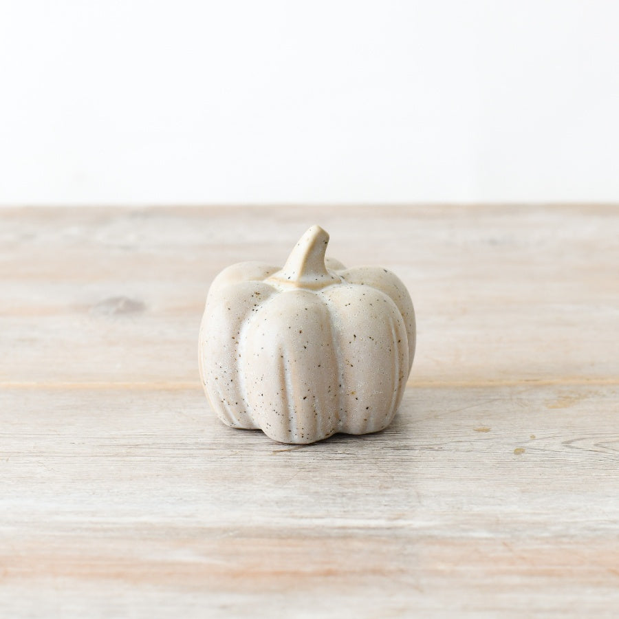 Small Speckled Pumpkin