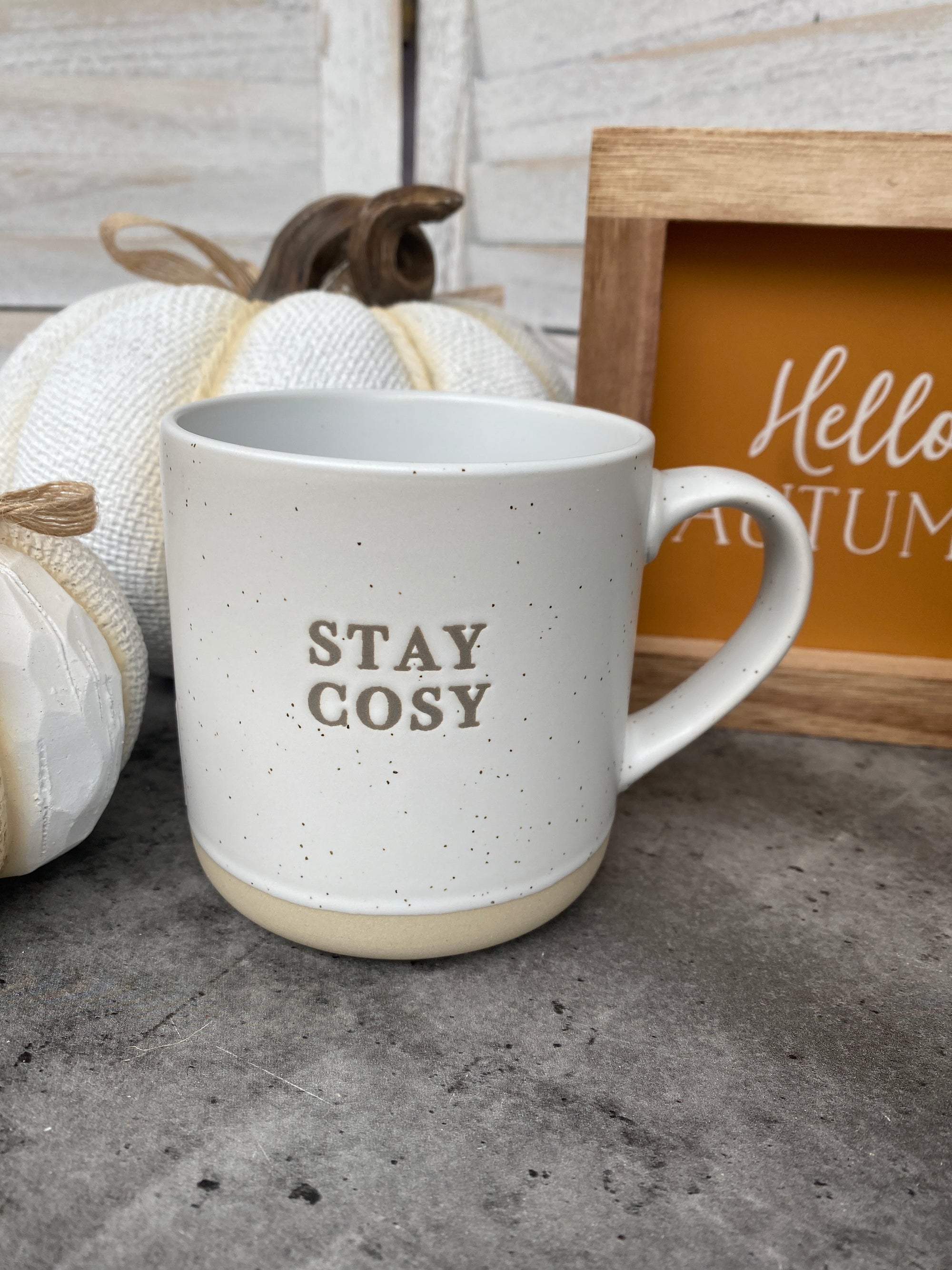 Stay Cosy Speckled Ceramic Mug