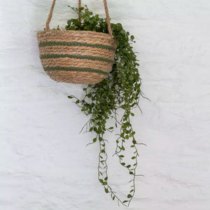 Seagrass Hanging Basket Green Stripe