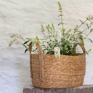Oval Seagrass Basket with Handles