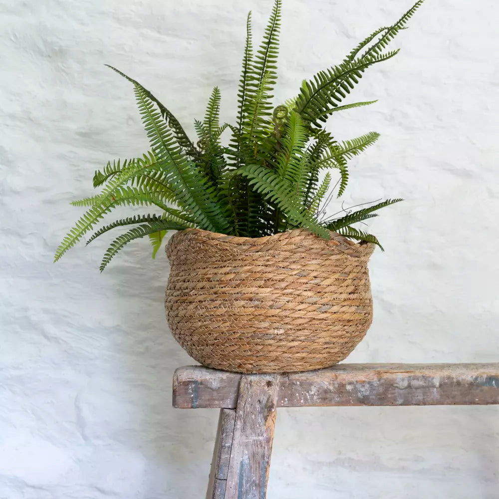 Seagrass Basket Planter Shallow Frill Edge Large