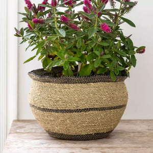 Seagrass Planter Natural & Black Large