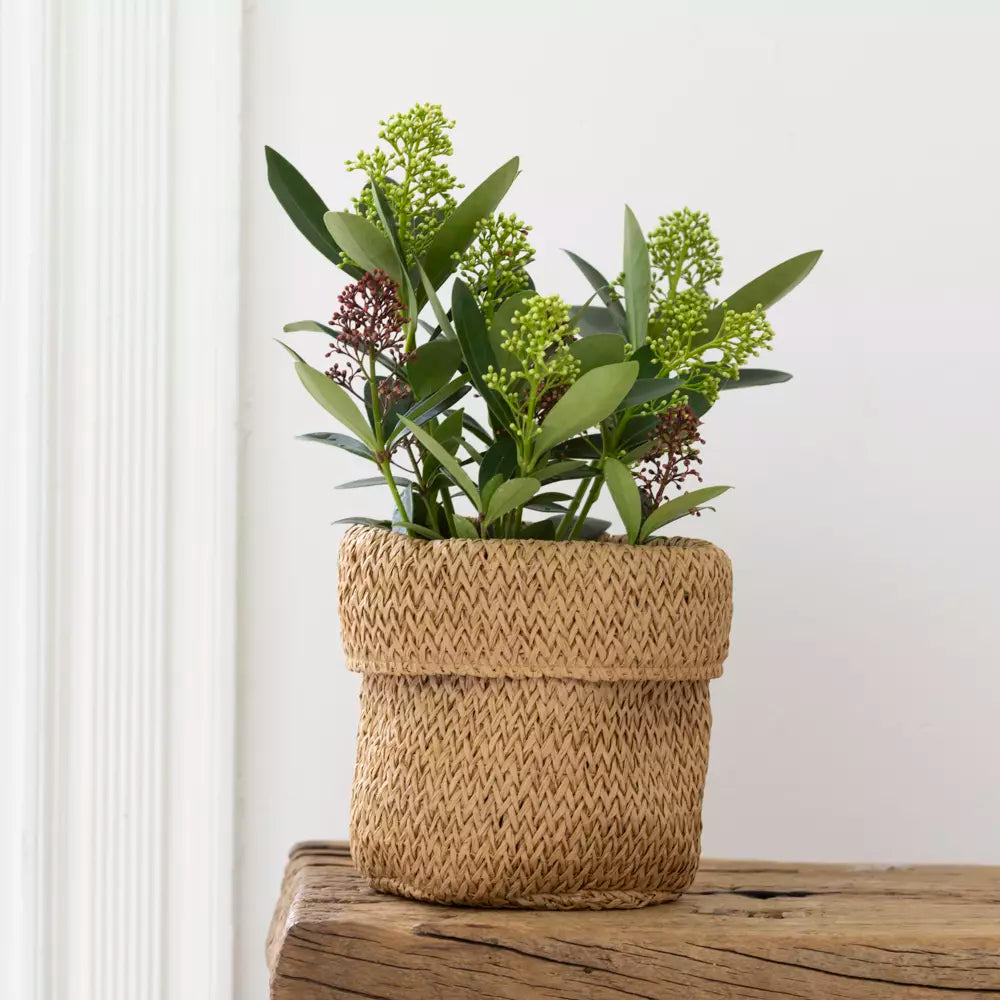 Recycled Paper Planter With Liner