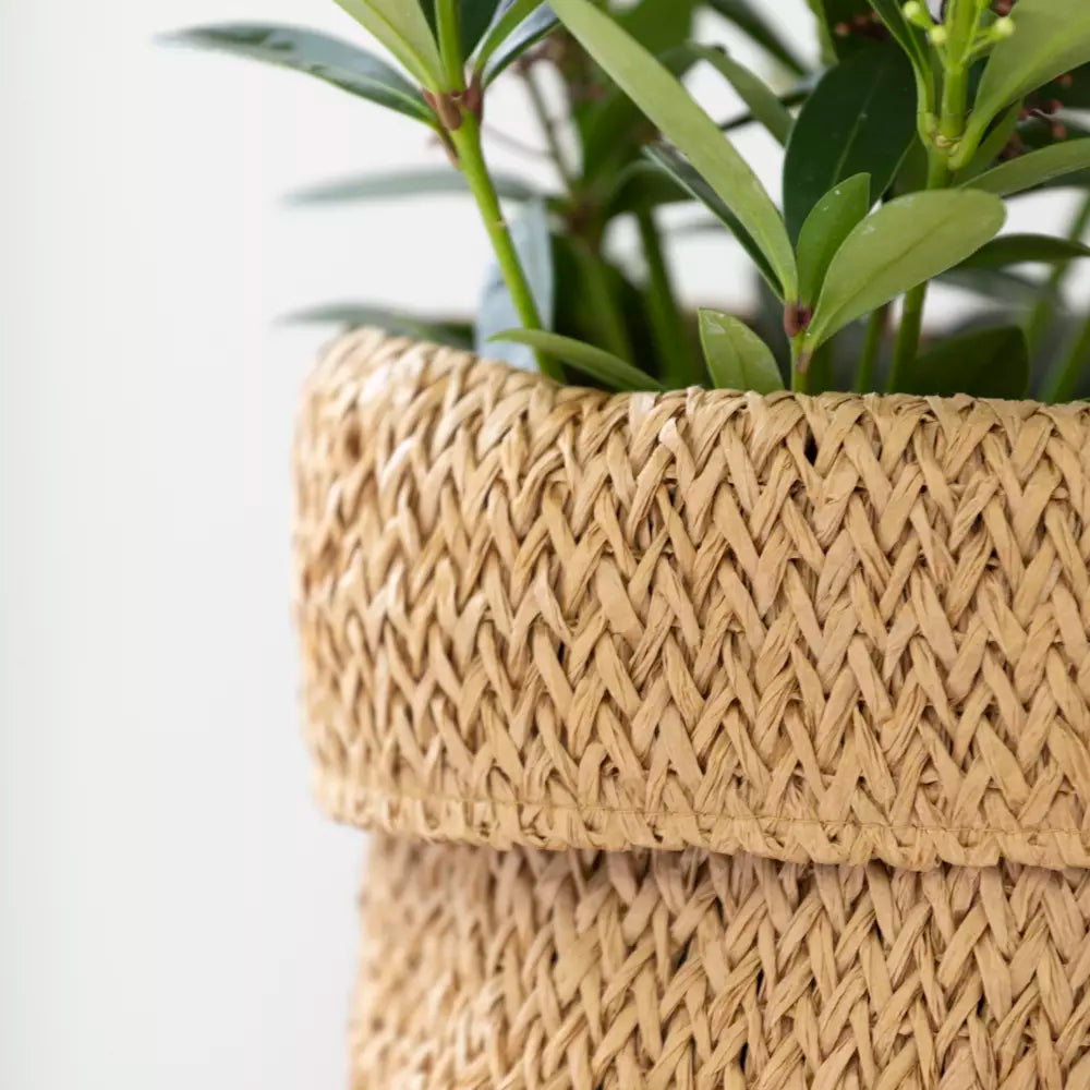 Recycled Paper Planter With Liner