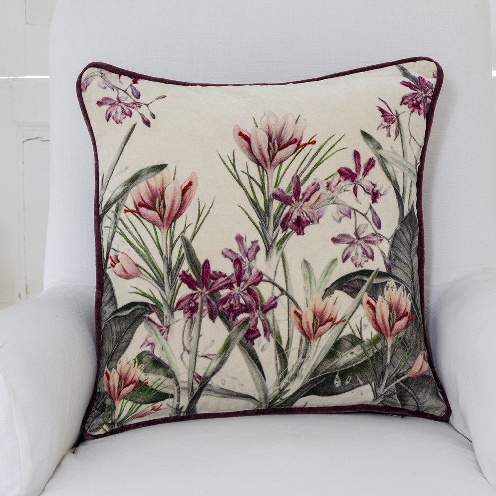 Velvet Cushion Crocus