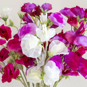 Sweet Pea Mix