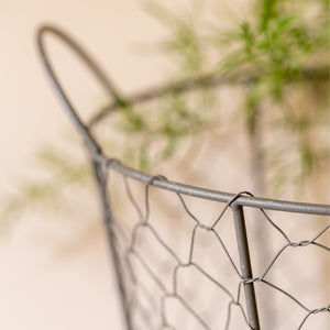 Wire Mesh Oval Basket Large